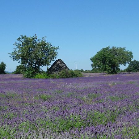 La Mordoree La Motte-d'Aigues Eksteriør bilde
