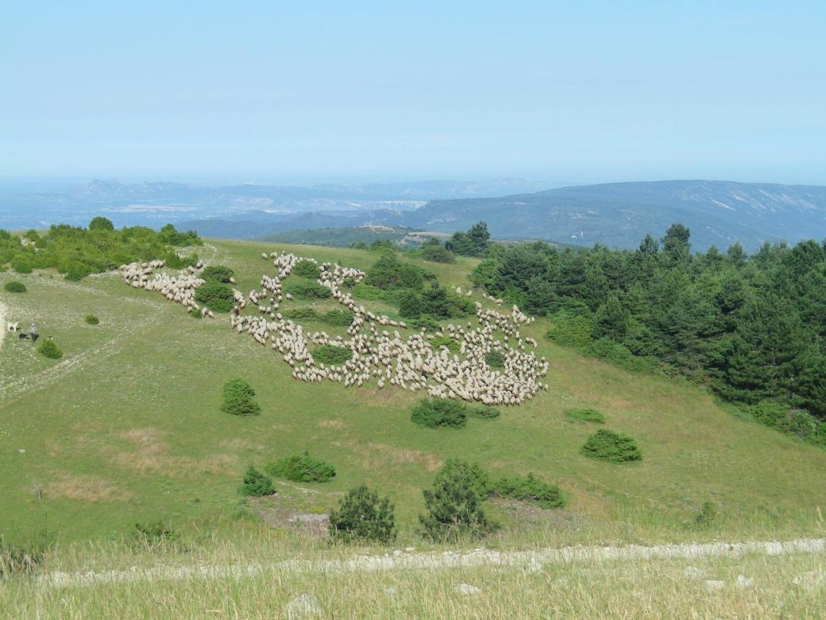 La Mordoree La Motte-d'Aigues Eksteriør bilde