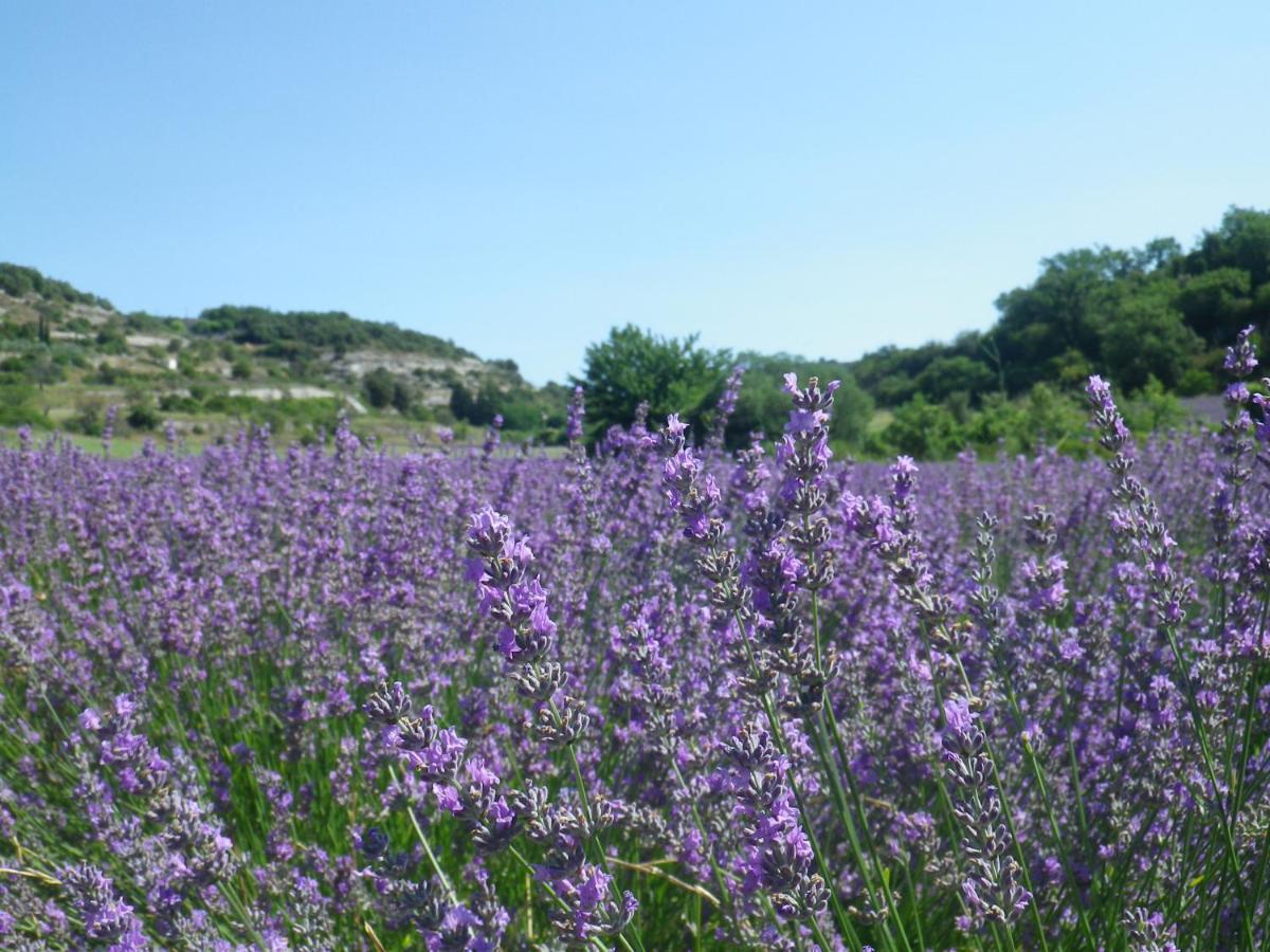 La Mordoree La Motte-d'Aigues Eksteriør bilde
