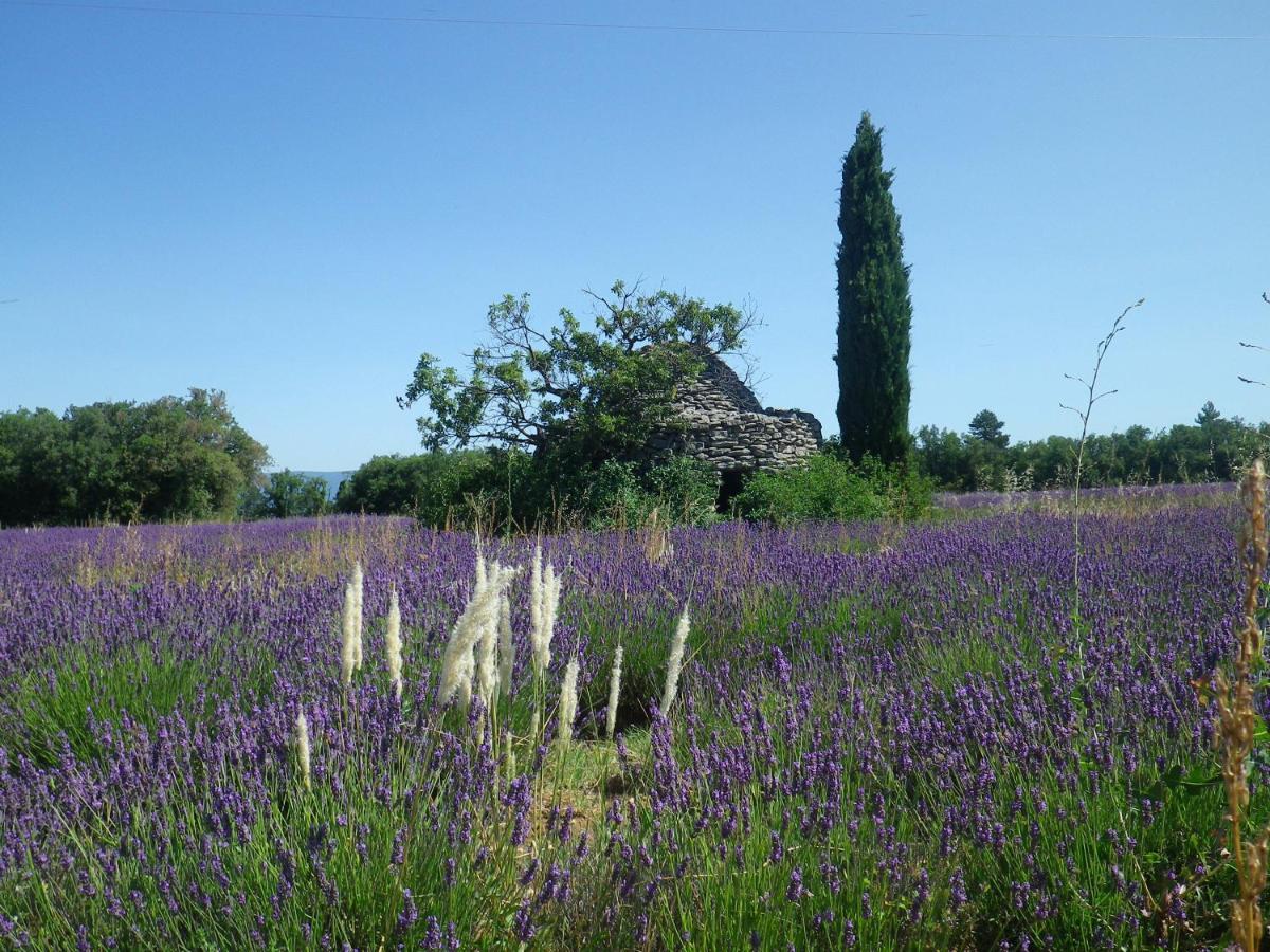 La Mordoree La Motte-d'Aigues Eksteriør bilde