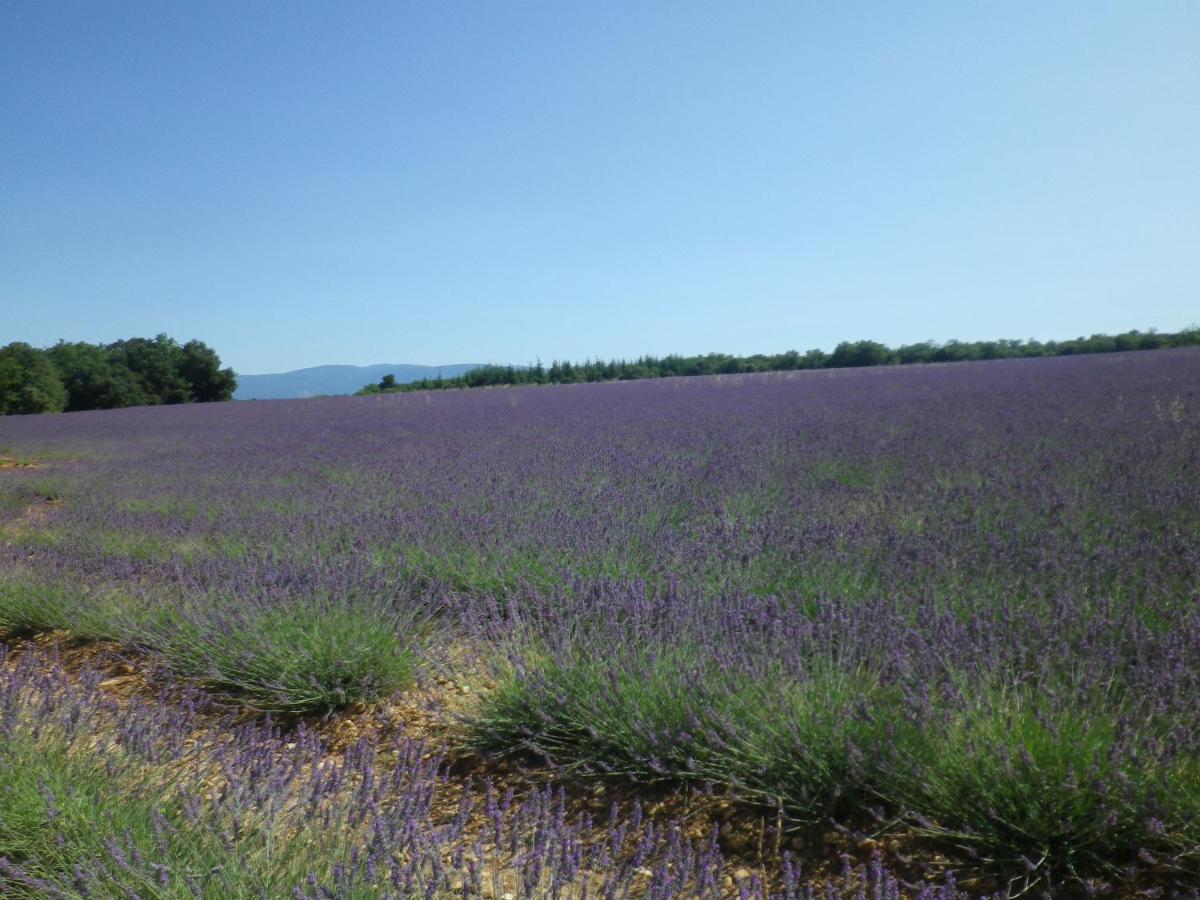 La Mordoree La Motte-d'Aigues Eksteriør bilde