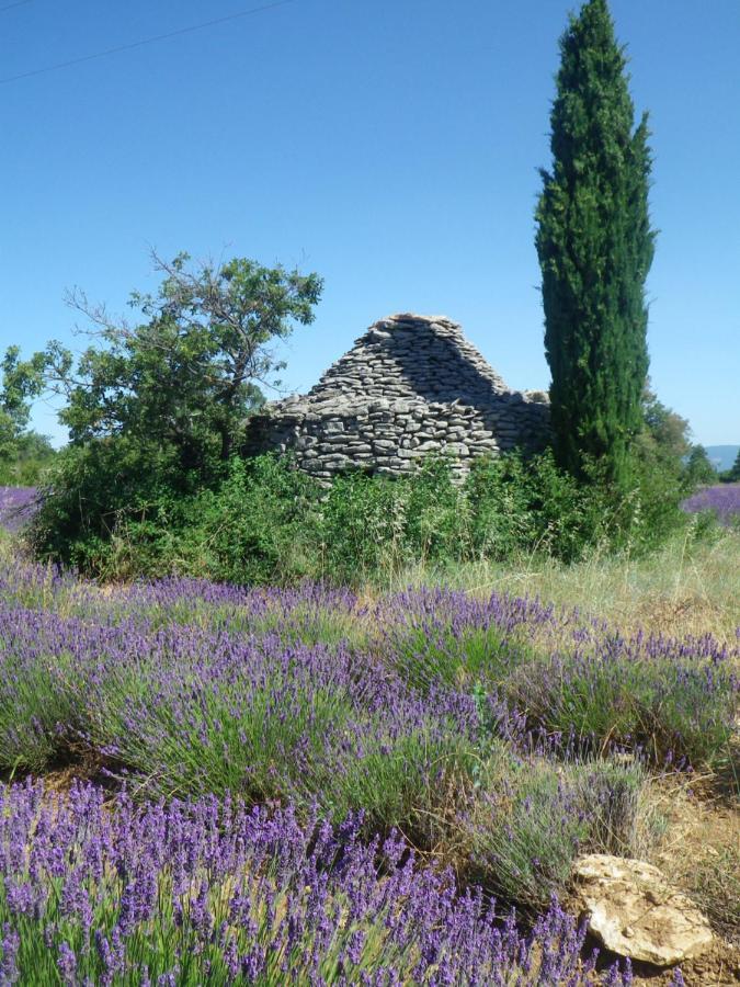 La Mordoree La Motte-d'Aigues Eksteriør bilde